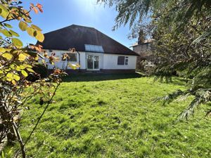 Photo 31- click for photo gallery